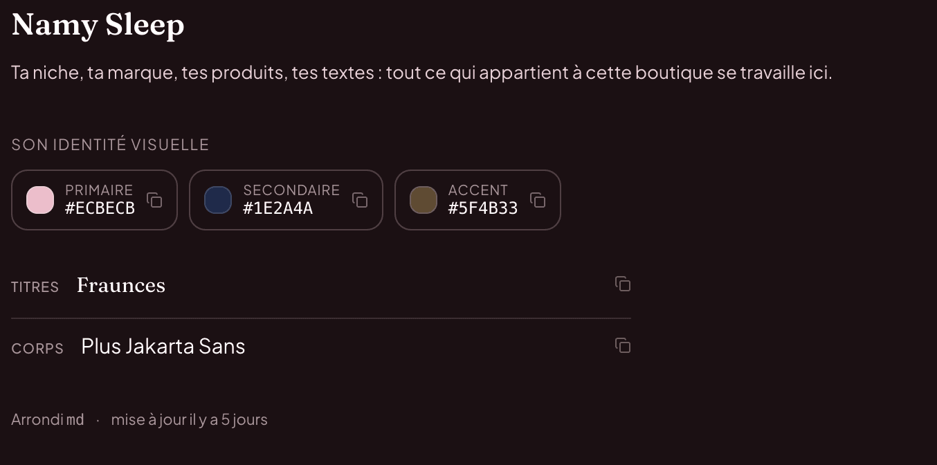 Fiche d'une boutique dans l'outil Econamy : palette primaire, secondaire et accent, police de titre Fraunces et police de corps Plus Jakarta Sans